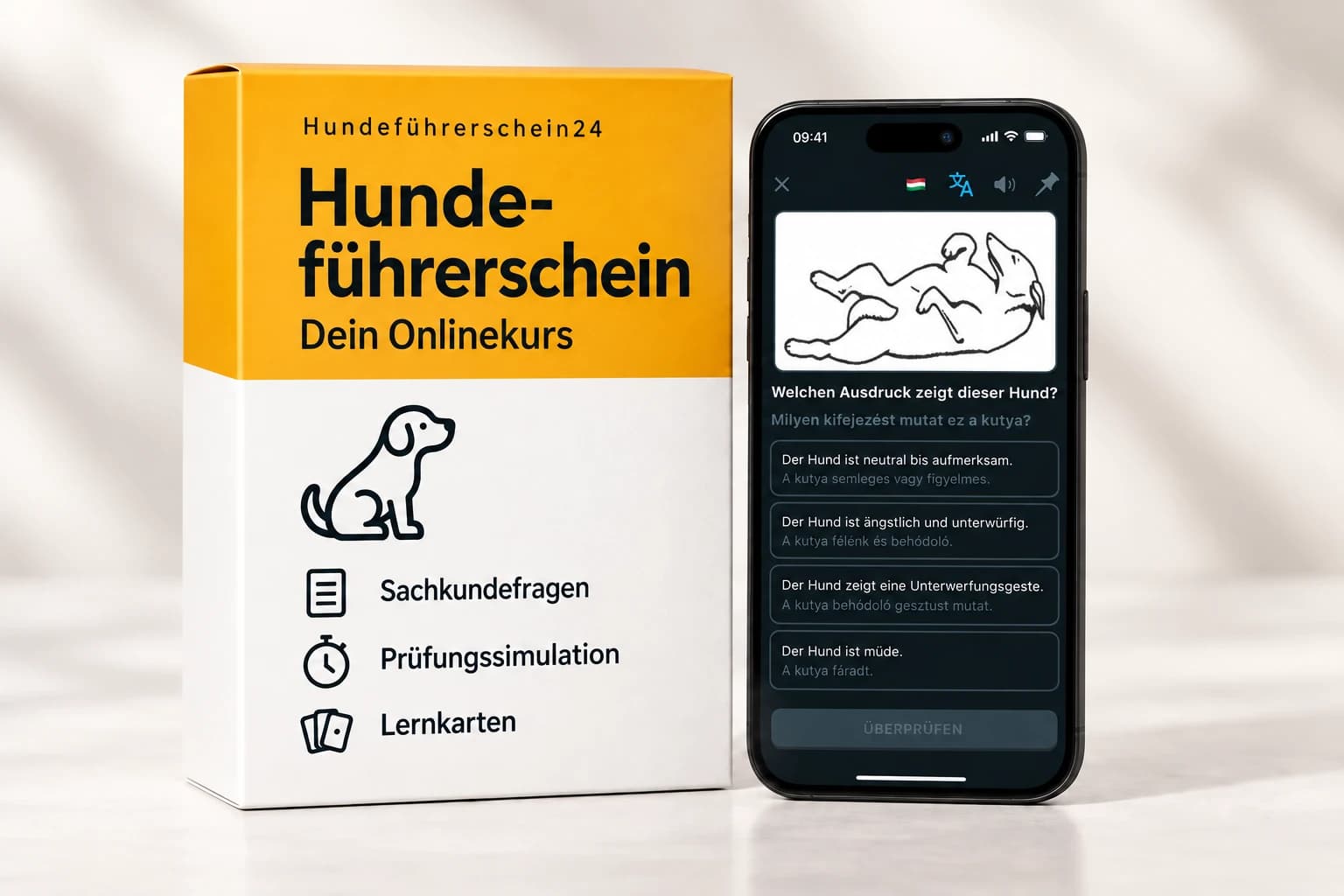 Kursbox für Hundeführerschein24 neben einem Smartphone mit einer bebilderten Frage zur Körpersprache von Hunden