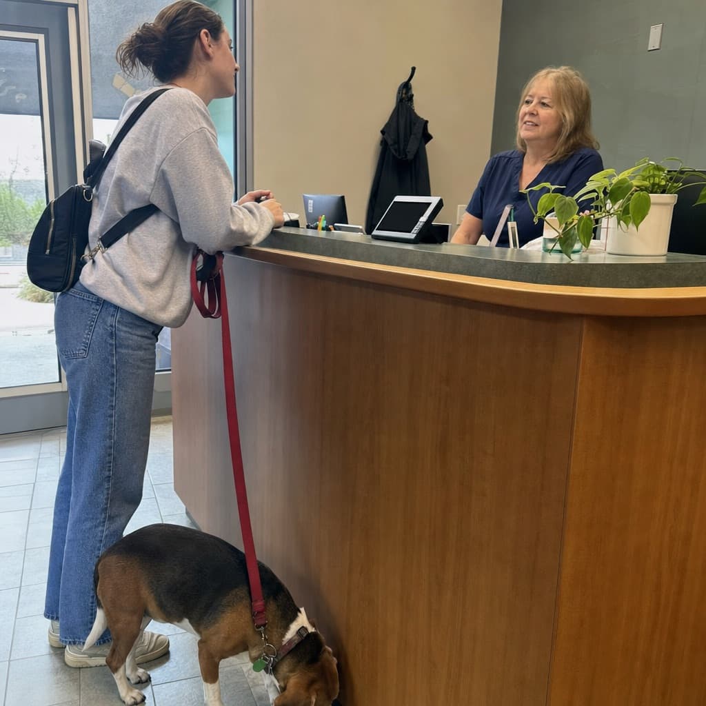 Hundehalterin mit Beagle an der Anmeldung einer Tierarztpraxis