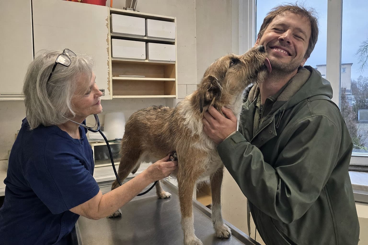 Tierärztin hört einen Mischlingshund ab, während der Hund seinem Halter das Kinn ableckt