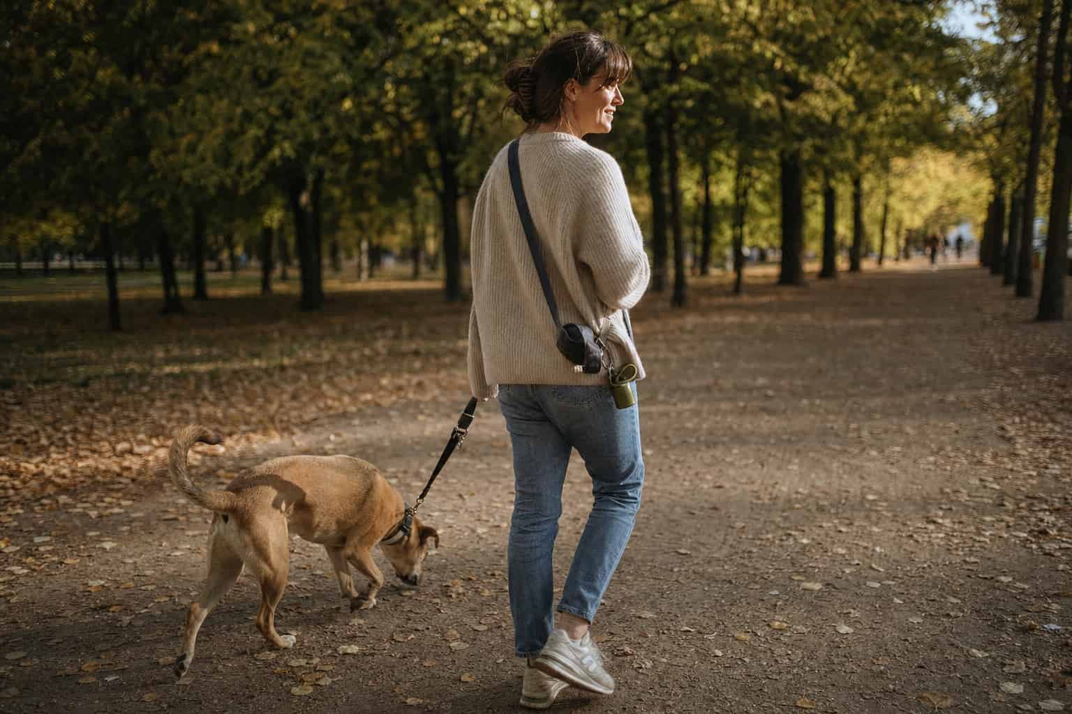 Frau führt ihren Hund an der Leine über einen herbstlichen Waldweg