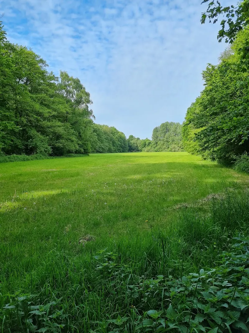Hundewiese Radrennbahn (Heeper Fichten)
